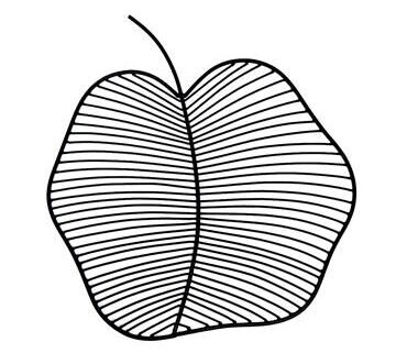 Apple Wall Decor